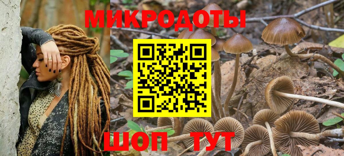 Галлюциногенные грибы GOLDEN TEACHER Новошахтинск